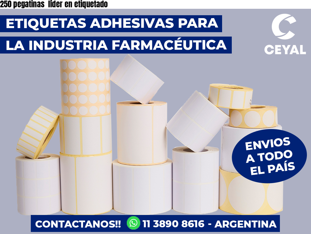250 pegatinas  líder en etiquetado