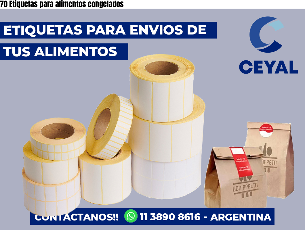 70 Etiquetas para alimentos congelados