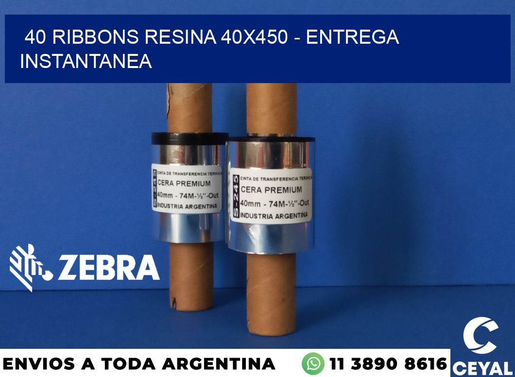 40 Ribbons resina 40x450 - entrega instantanea