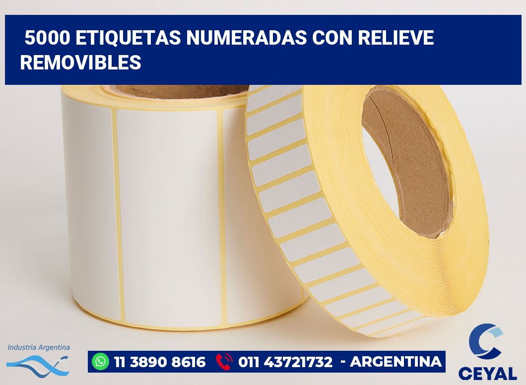 5000 Etiquetas numeradas con relieve removibles