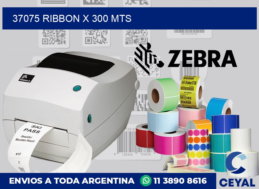 37075 ribbon x 300 mts