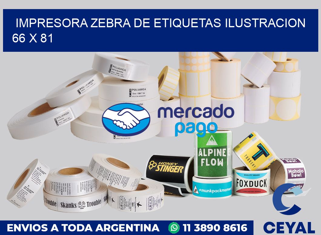 Impresora Zebra de etiquetas ilustracion 66 x 81