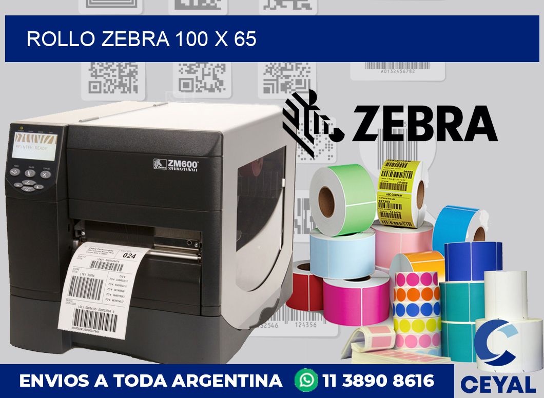 rollo zebra 100 x 65