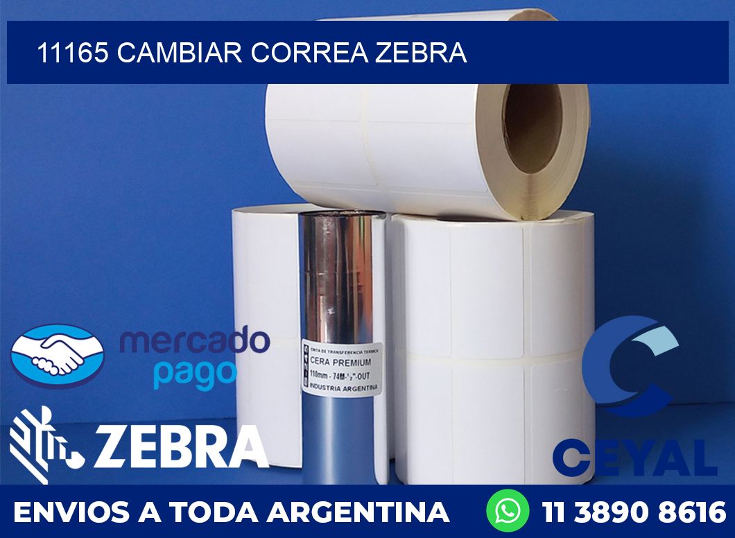 11165 CAMBIAR CORREA ZEBRA