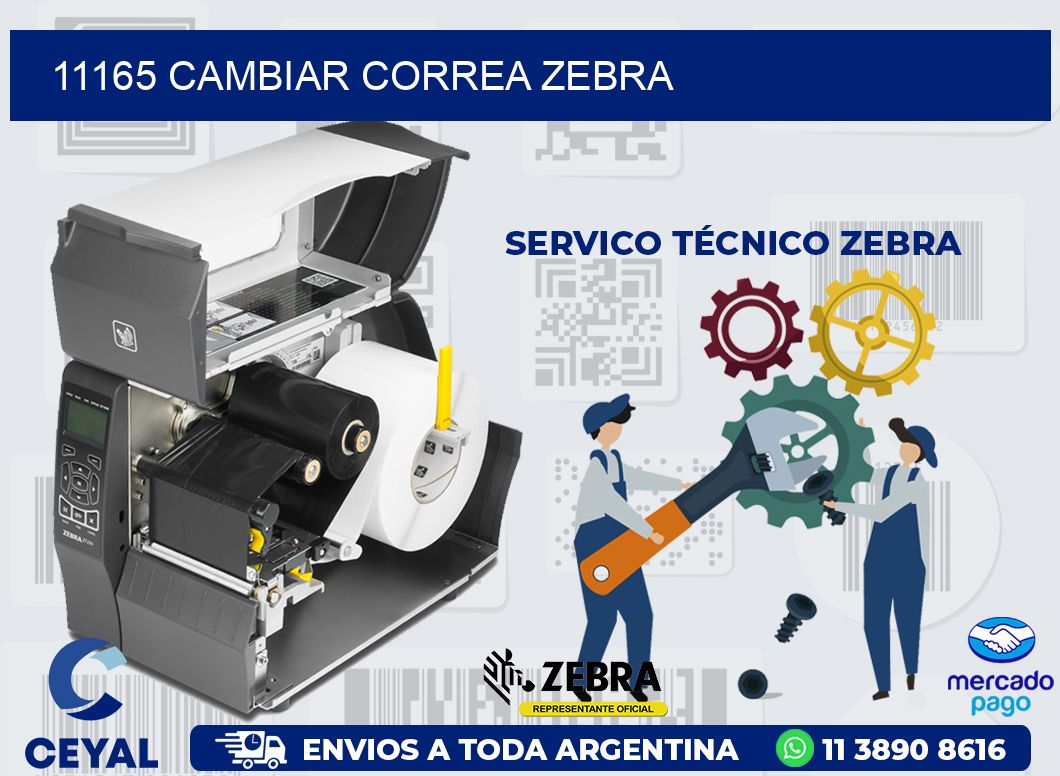 11165 CAMBIAR CORREA ZEBRA
