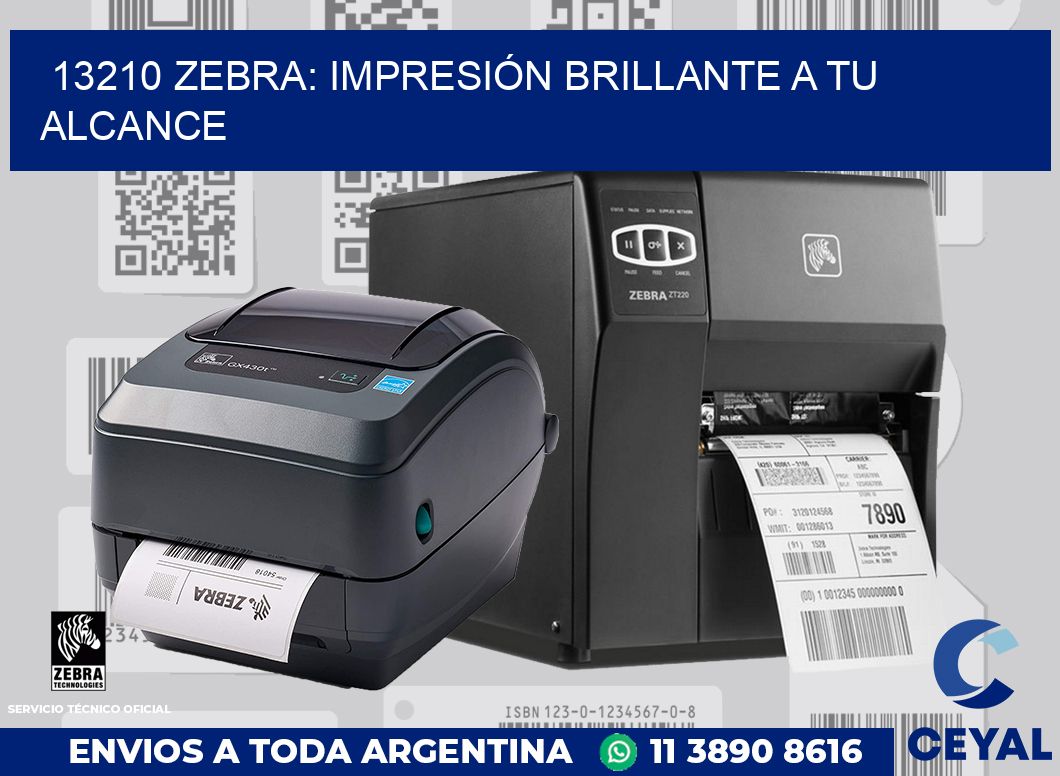 13210 ZEBRA: IMPRESIÓN BRILLANTE A TU ALCANCE