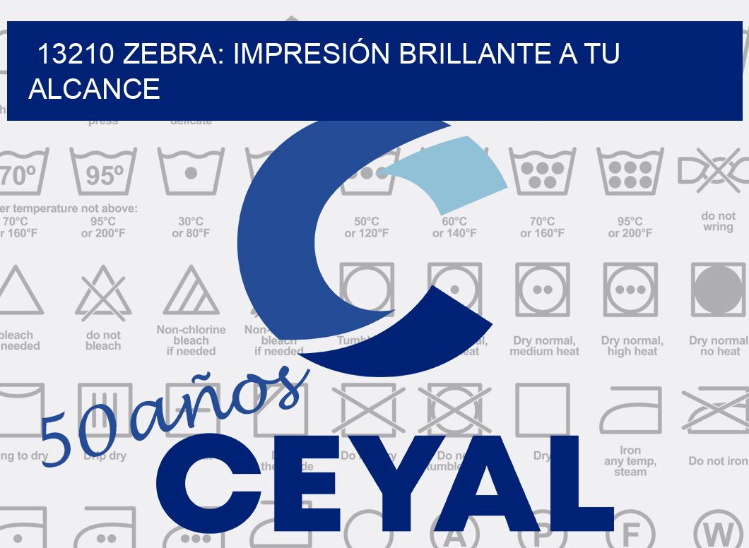 13210 ZEBRA: IMPRESIÓN BRILLANTE A TU ALCANCE