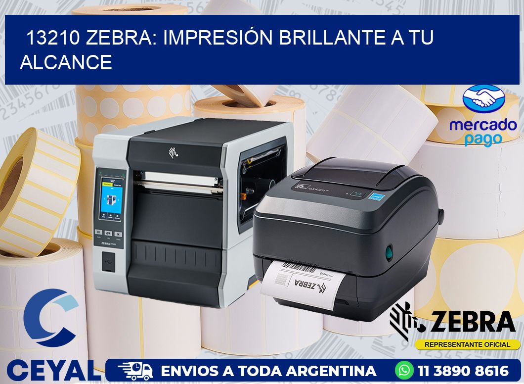 13210 ZEBRA: IMPRESIÓN BRILLANTE A TU ALCANCE