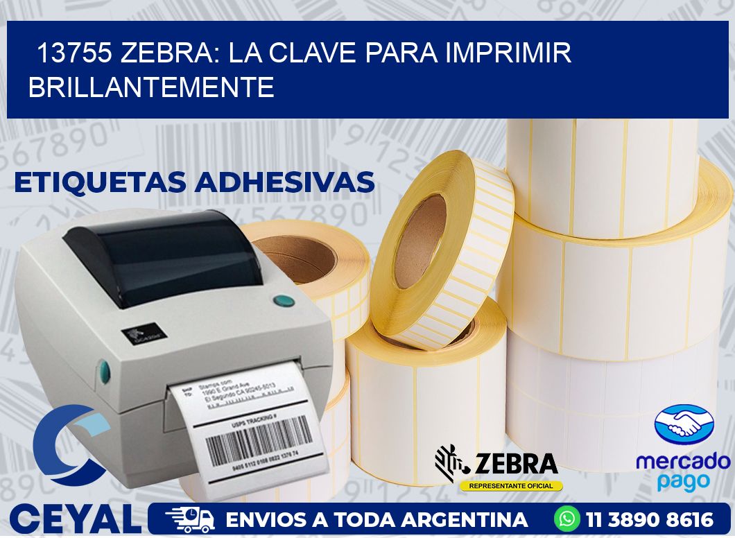 13755 ZEBRA: LA CLAVE PARA IMPRIMIR BRILLANTEMENTE