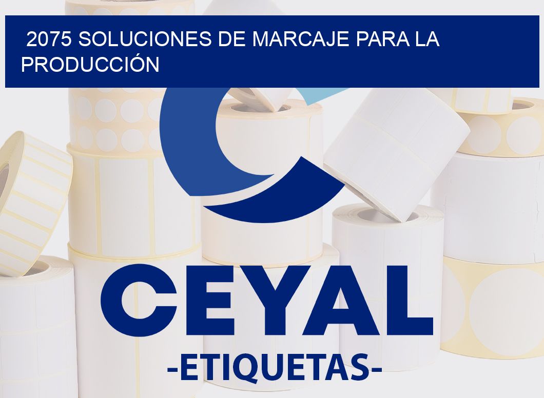 2075 SOLUCIONES DE MARCAJE PARA LA PRODUCCIÓN