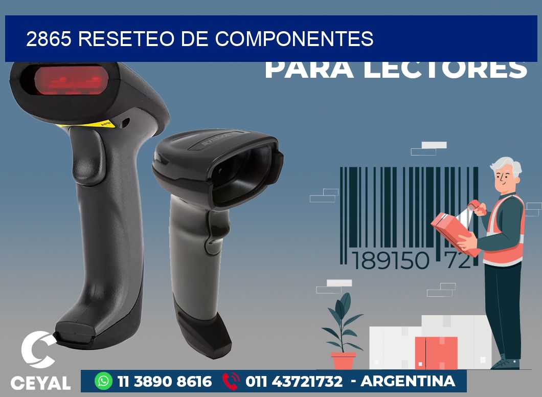 2865 RESETEO DE COMPONENTES