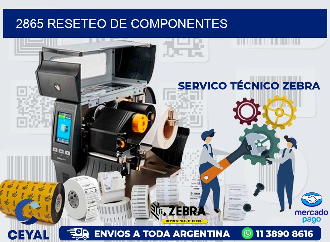 2865 RESETEO DE COMPONENTES