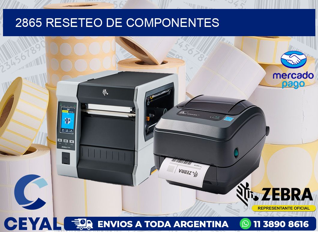 2865 RESETEO DE COMPONENTES