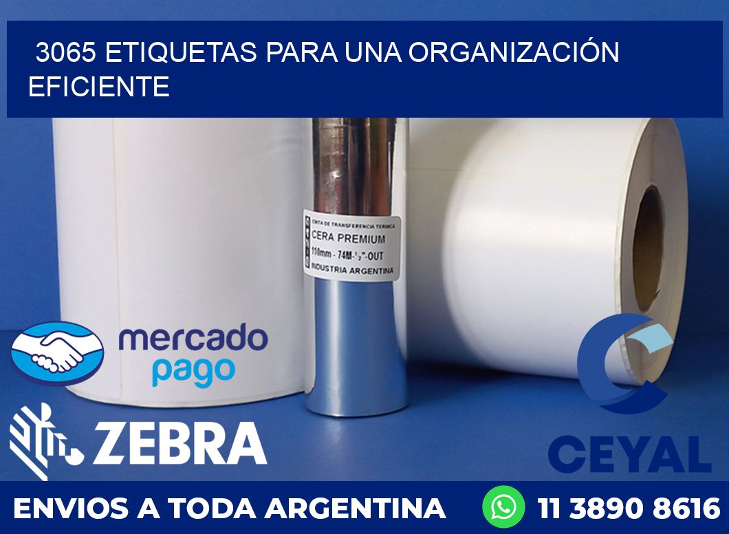 3065 ETIQUETAS PARA UNA ORGANIZACIÓN EFICIENTE
