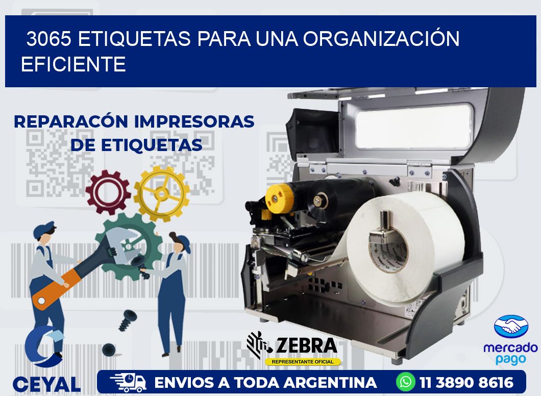 3065 ETIQUETAS PARA UNA ORGANIZACIÓN EFICIENTE