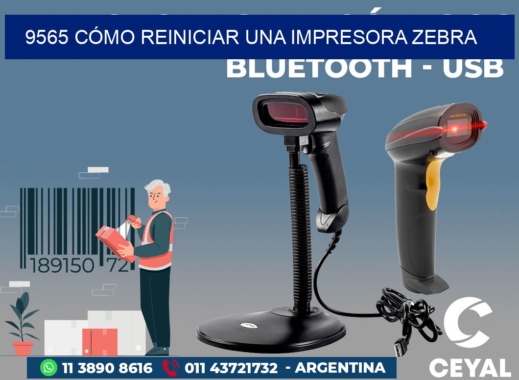 9565 CÓMO REINICIAR UNA IMPRESORA ZEBRA