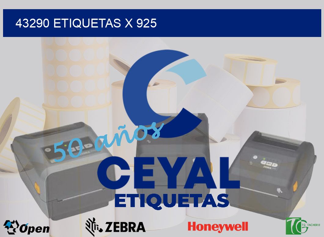 43290 Etiquetas x 925