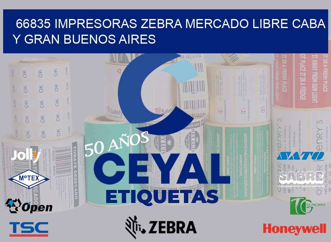 66835 IMPRESORAS ZEBRA MERCADO LIBRE CABA Y GRAN BUENOS AIRES