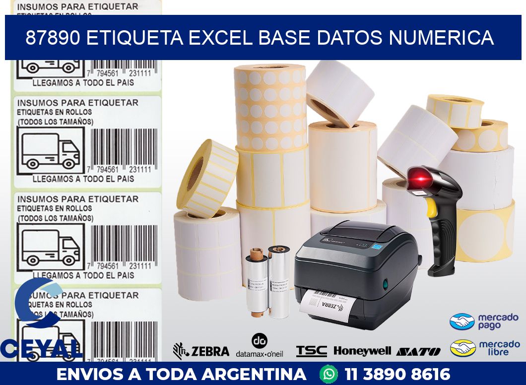 87890 etiqueta excel base datos numerica