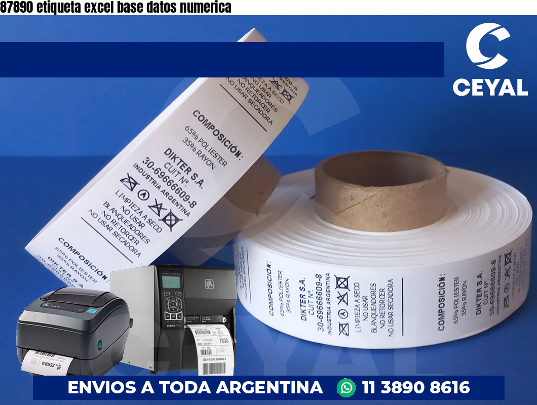 87890 etiqueta excel base datos numerica