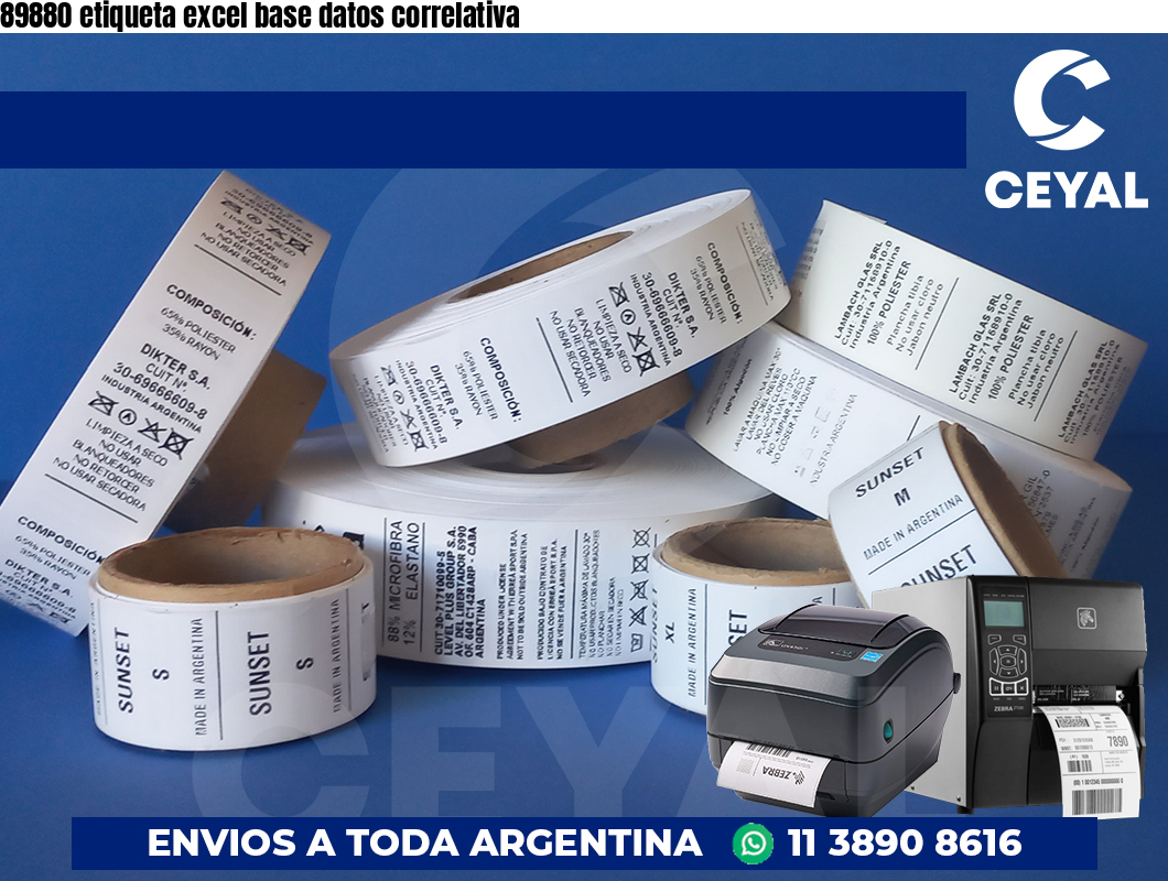 89880 etiqueta excel base datos correlativa
