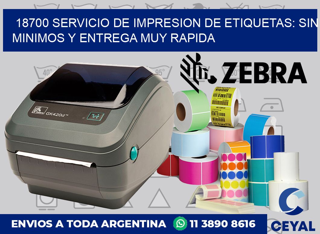 18700 SERVICIO DE IMPRESION DE ETIQUETAS: SIN MINIMOS Y ENTREGA MUY RAPIDA