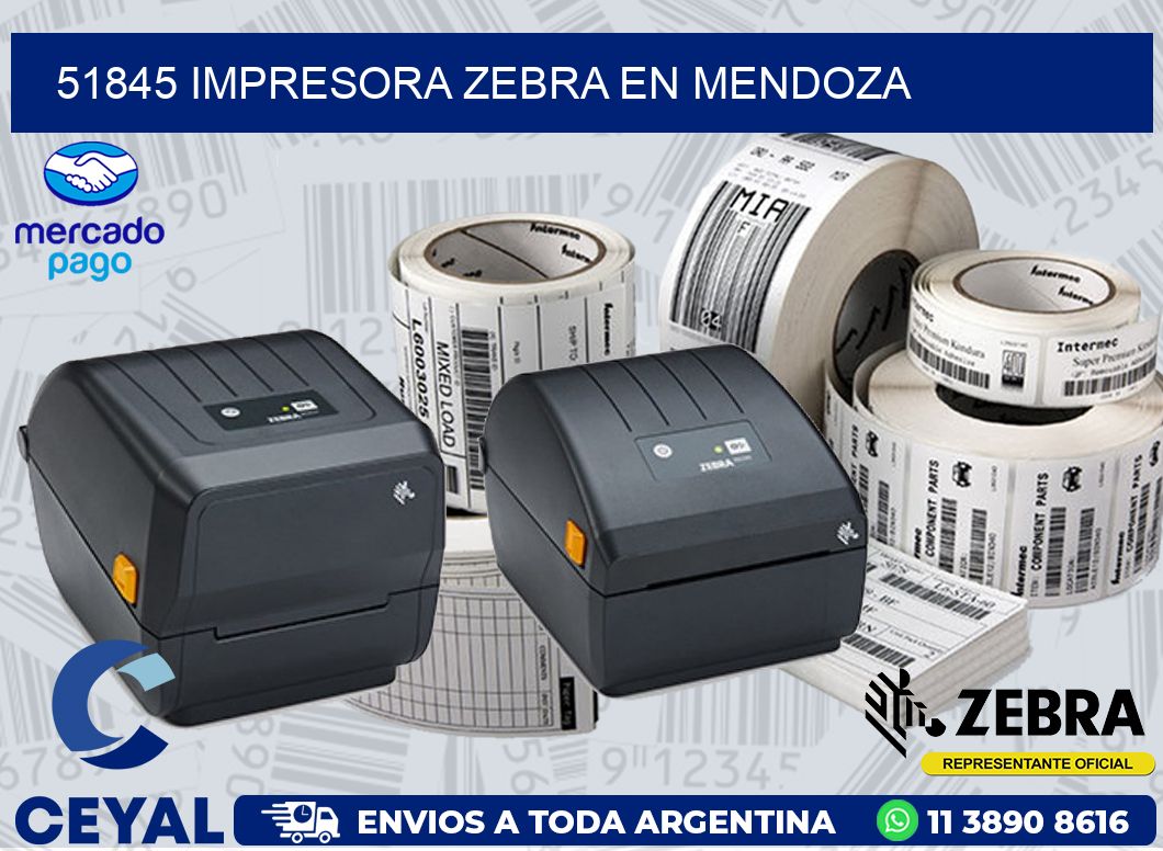 51845 IMPRESORA ZEBRA EN MENDOZA