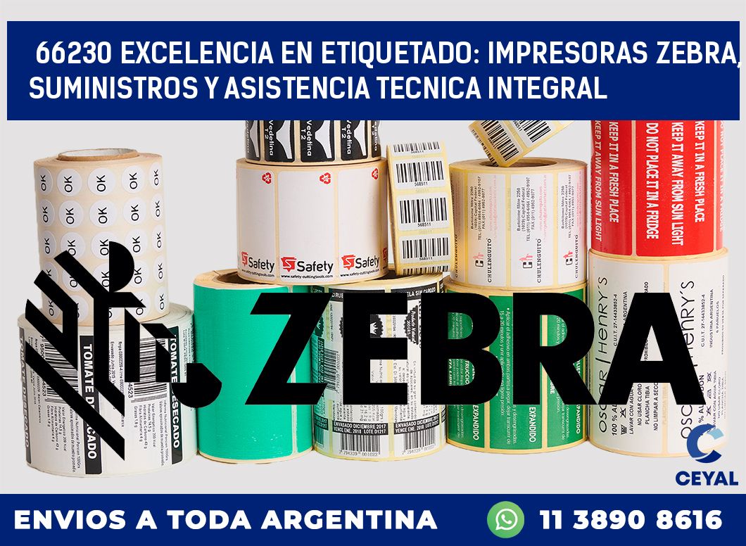 66230 EXCELENCIA EN ETIQUETADO: IMPRESORAS ZEBRA, SUMINISTROS Y ASISTENCIA TECNICA INTEGRAL
