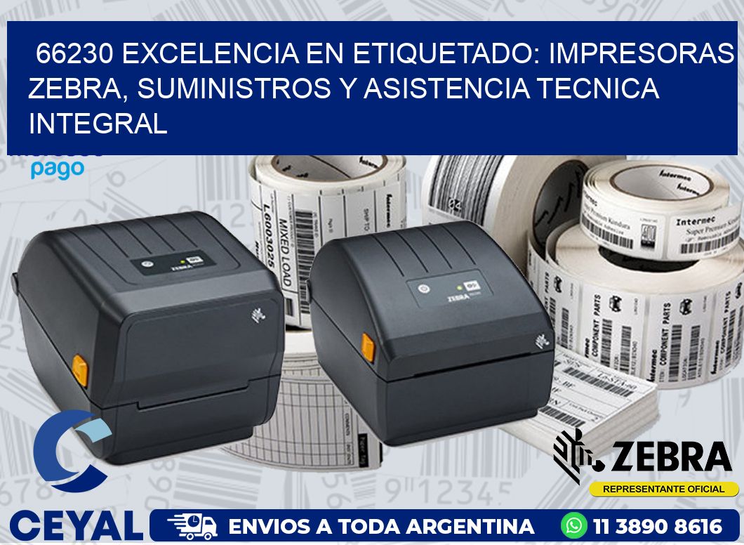 66230 EXCELENCIA EN ETIQUETADO: IMPRESORAS ZEBRA, SUMINISTROS Y ASISTENCIA TECNICA INTEGRAL