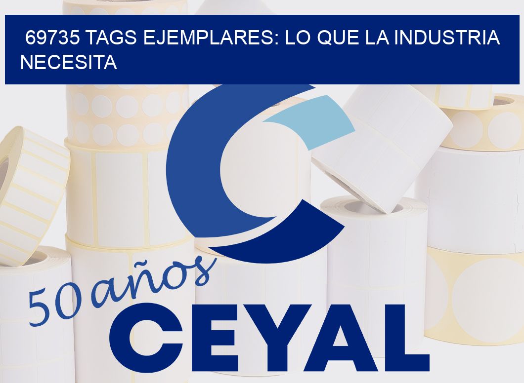 69735 TAGS EJEMPLARES: LO QUE LA INDUSTRIA NECESITA