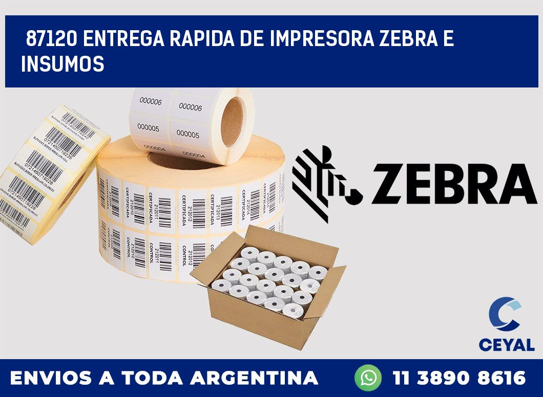 87120 ENTREGA RAPIDA DE IMPRESORA ZEBRA E INSUMOS