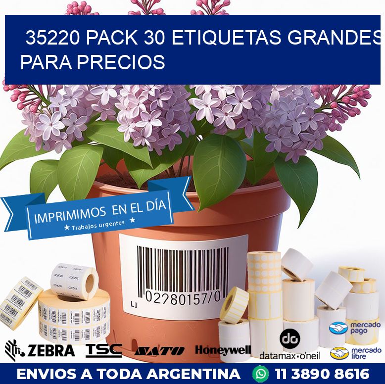 35220 PACK 30 ETIQUETAS GRANDES PARA PRECIOS