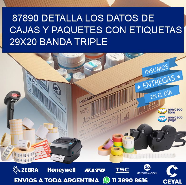 87890 DETALLA LOS DATOS DE CAJAS Y PAQUETES CON ETIQUETAS 29X20 BANDA TRIPLE