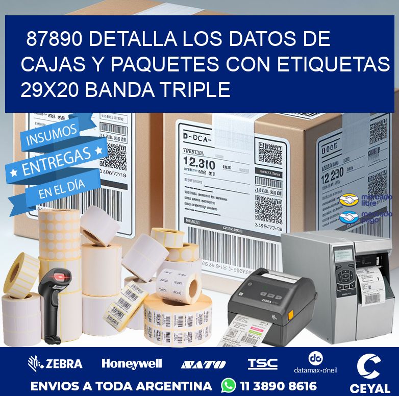 87890 DETALLA LOS DATOS DE CAJAS Y PAQUETES CON ETIQUETAS 29X20 BANDA TRIPLE