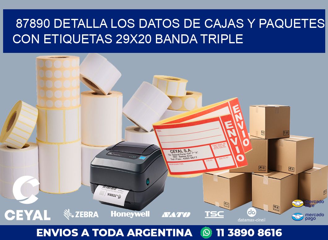 87890 DETALLA LOS DATOS DE CAJAS Y PAQUETES CON ETIQUETAS 29X20 BANDA TRIPLE