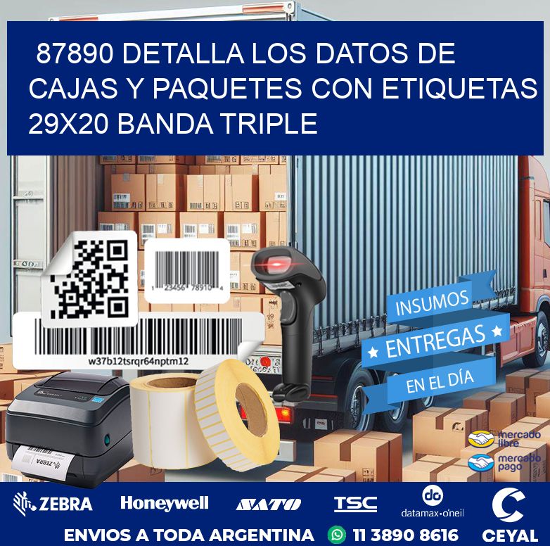 87890 DETALLA LOS DATOS DE CAJAS Y PAQUETES CON ETIQUETAS 29X20 BANDA TRIPLE