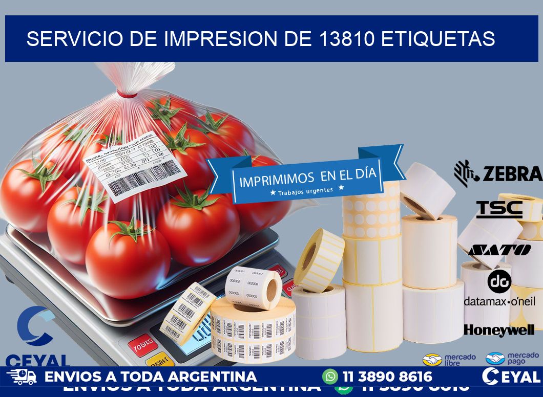 SERVICIO DE IMPRESION DE 13810 ETIQUETAS