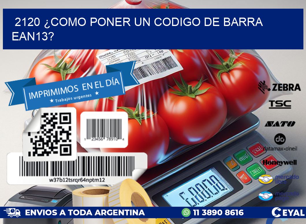 2120 ¿COMO PONER UN CODIGO DE BARRA  EAN13?