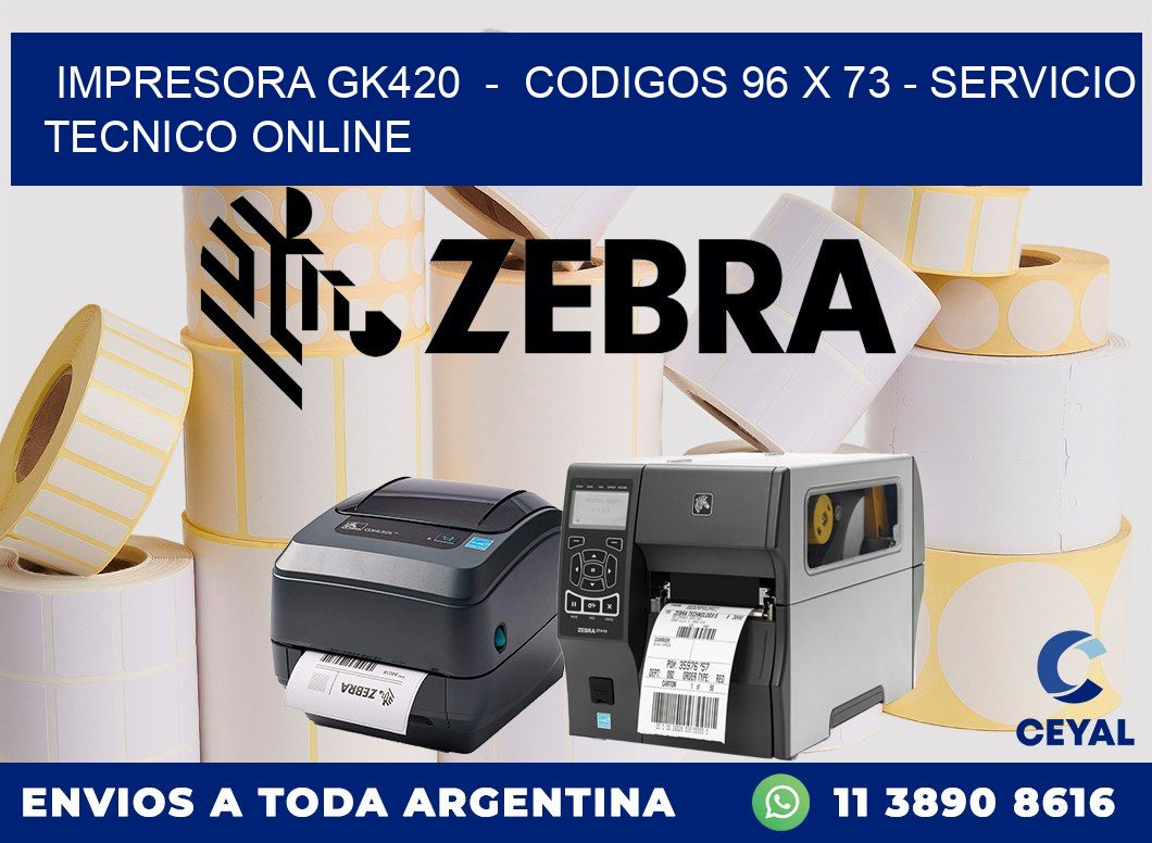 IMPRESORA GK420  -  CODIGOS 96 x 73 - SERVICIO TECNICO ONLINE