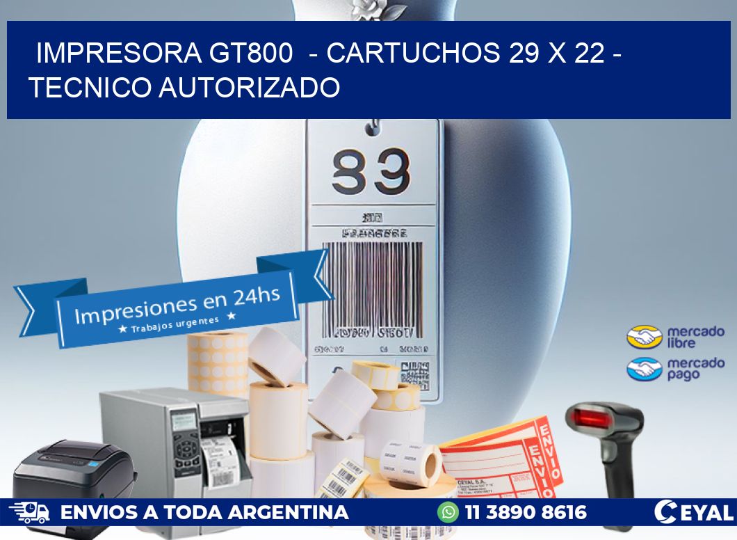 IMPRESORA GT800  - CARTUCHOS 29 x 22 - TECNICO AUTORIZADO