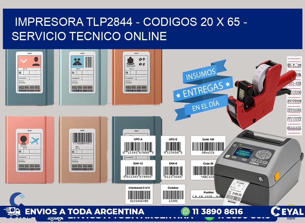 IMPRESORA TLP2844 - CODIGOS 20 x 65 - SERVICIO TECNICO ONLINE