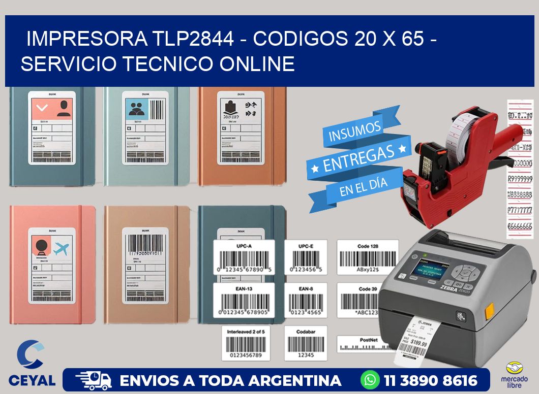 IMPRESORA TLP2844 - CODIGOS 20 x 65 - SERVICIO TECNICO ONLINE