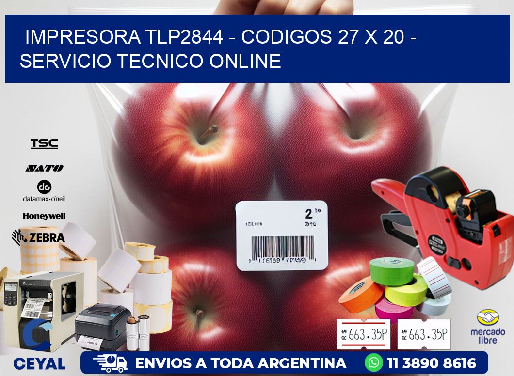 IMPRESORA TLP2844 - CODIGOS 27 x 20 - SERVICIO TECNICO ONLINE