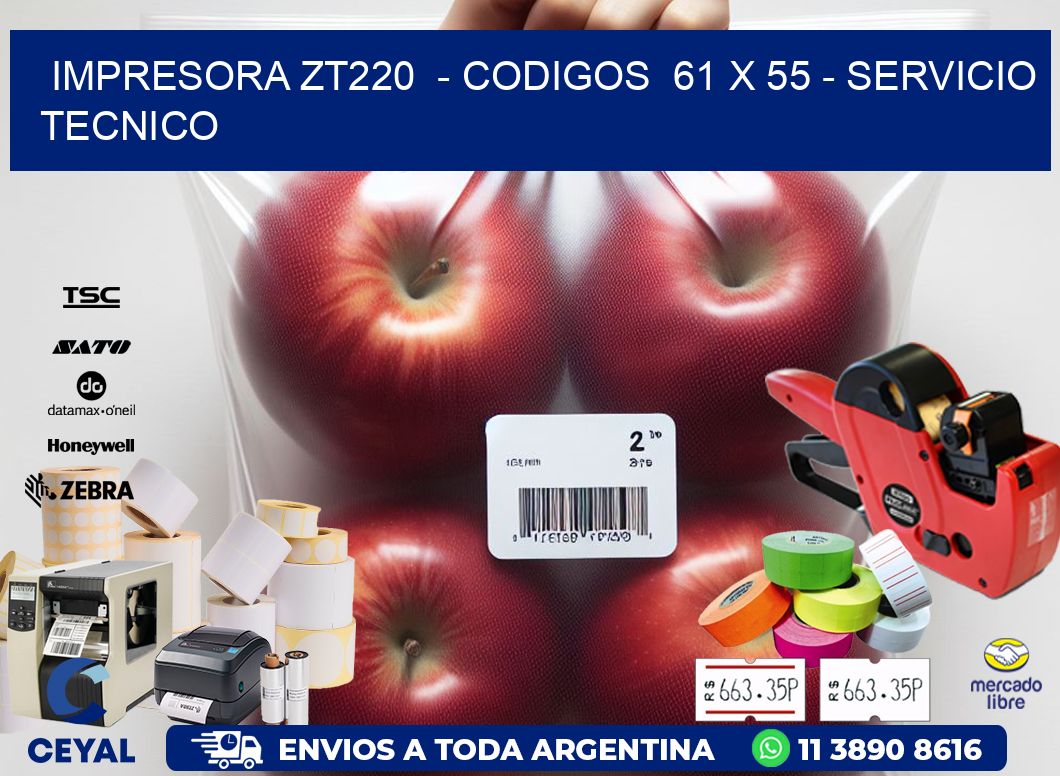 IMPRESORA ZT220  - CODIGOS  61 x 55 - SERVICIO TECNICO