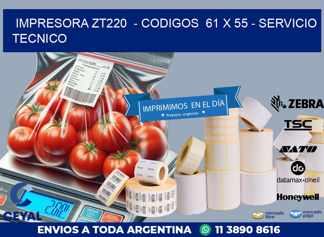 IMPRESORA ZT220  – CODIGOS  61 x 55 – SERVICIO TECNICO