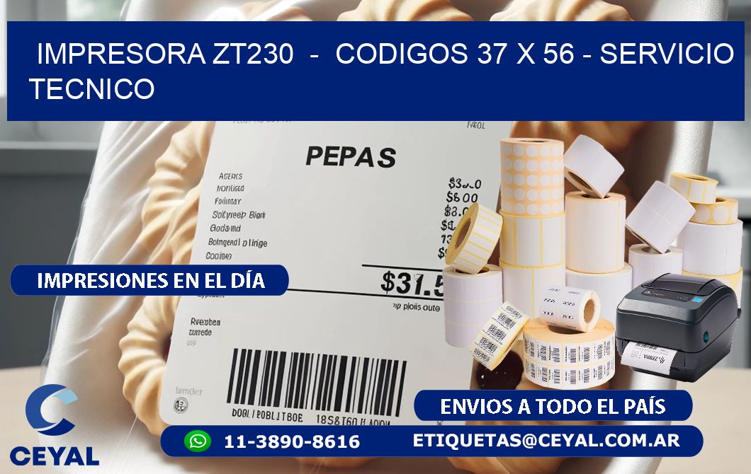 IMPRESORA ZT230  -  CODIGOS 37 x 56 - SERVICIO TECNICO