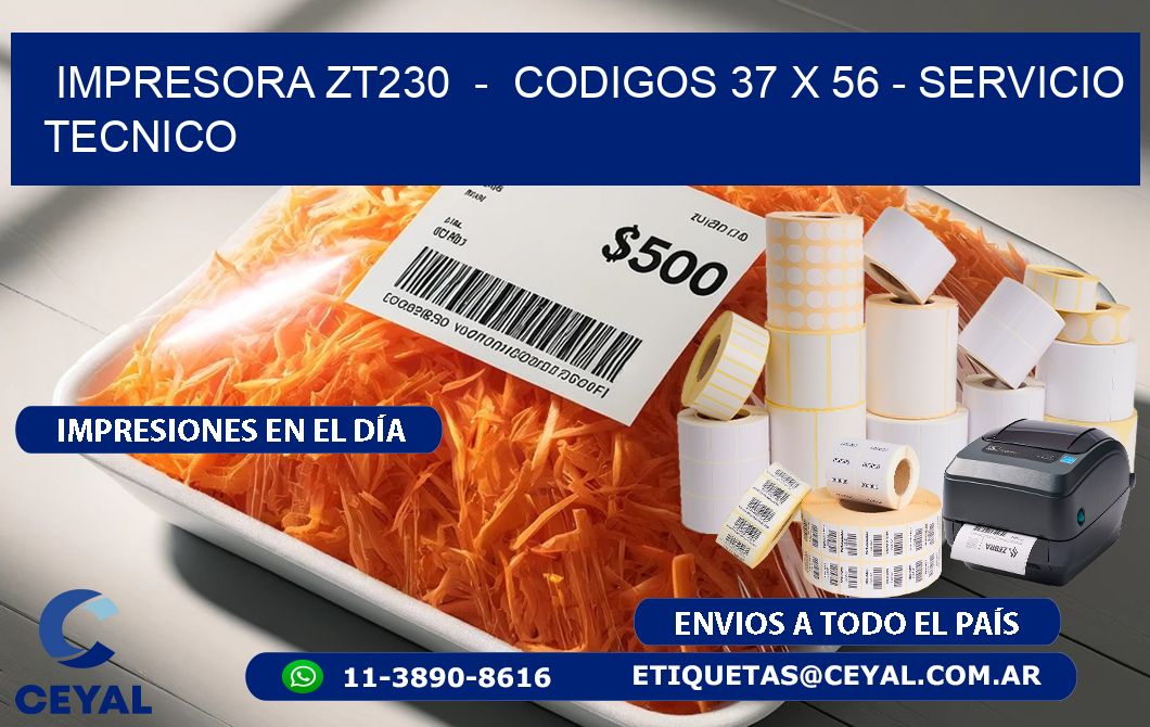 IMPRESORA ZT230  -  CODIGOS 37 x 56 - SERVICIO TECNICO