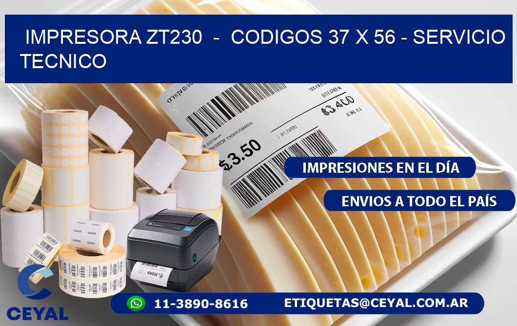 IMPRESORA ZT230  -  CODIGOS 37 x 56 - SERVICIO TECNICO