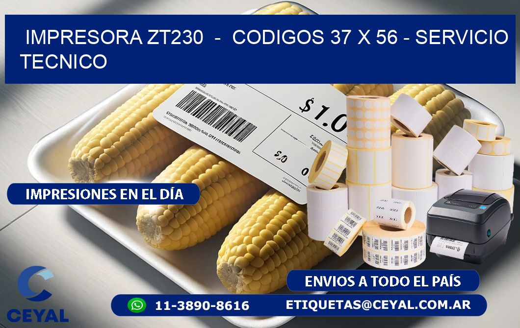 IMPRESORA ZT230  -  CODIGOS 37 x 56 - SERVICIO TECNICO