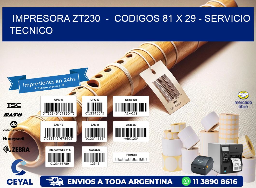 IMPRESORA ZT230  -  CODIGOS 81 x 29 - SERVICIO TECNICO